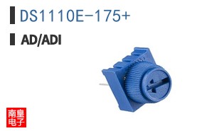 DS1110E-175+