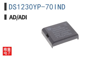 DS1230YP-70IND