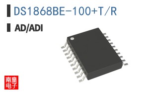DS1868BE-100+T/R
