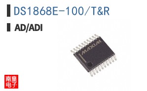 DS1868E-100/T&R